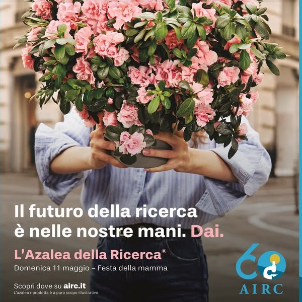 Azalea della Ricerca di AIRC