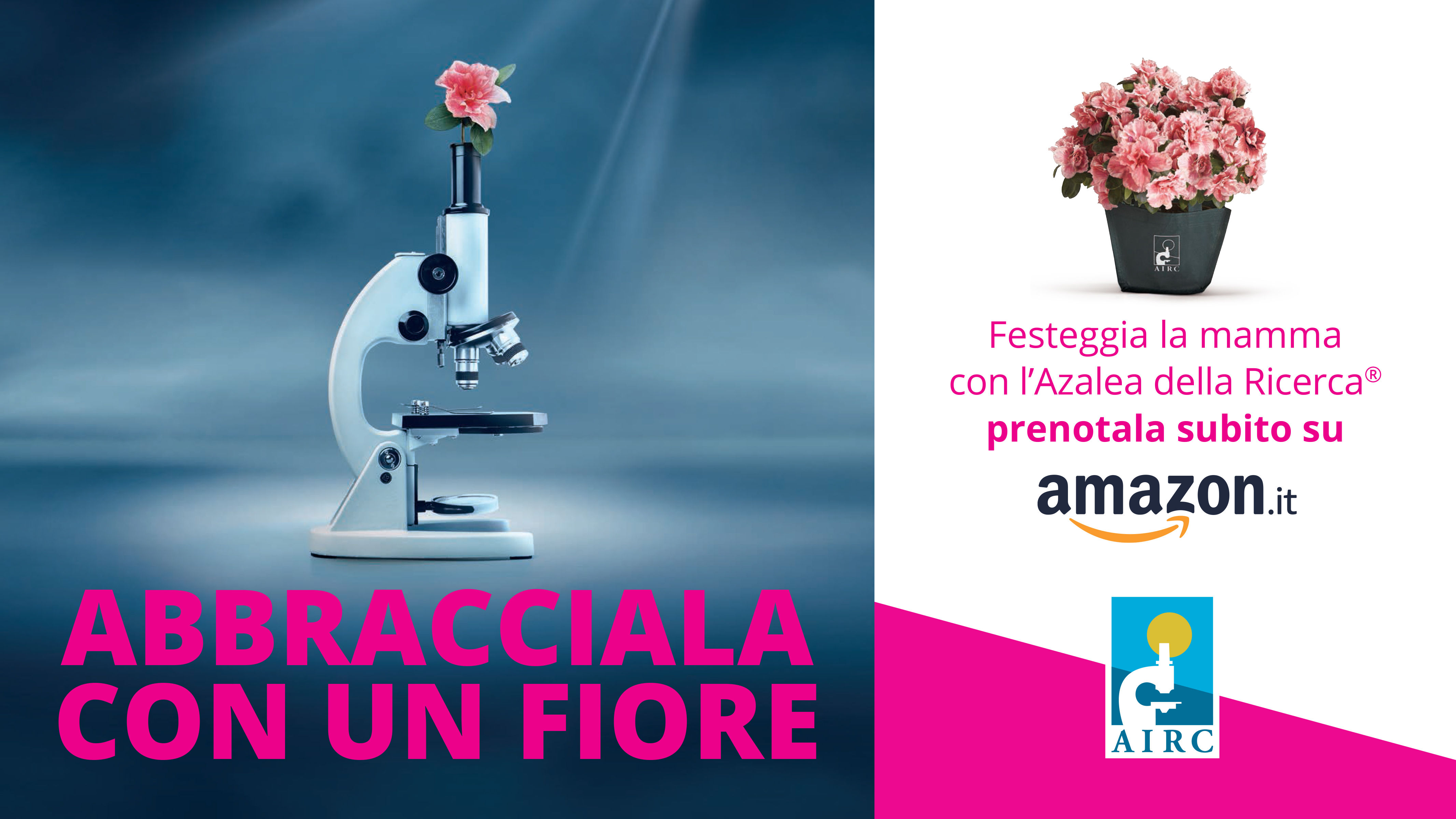 L’AZALEA DELLA RICERCA DI FONDAZIONE AIRC