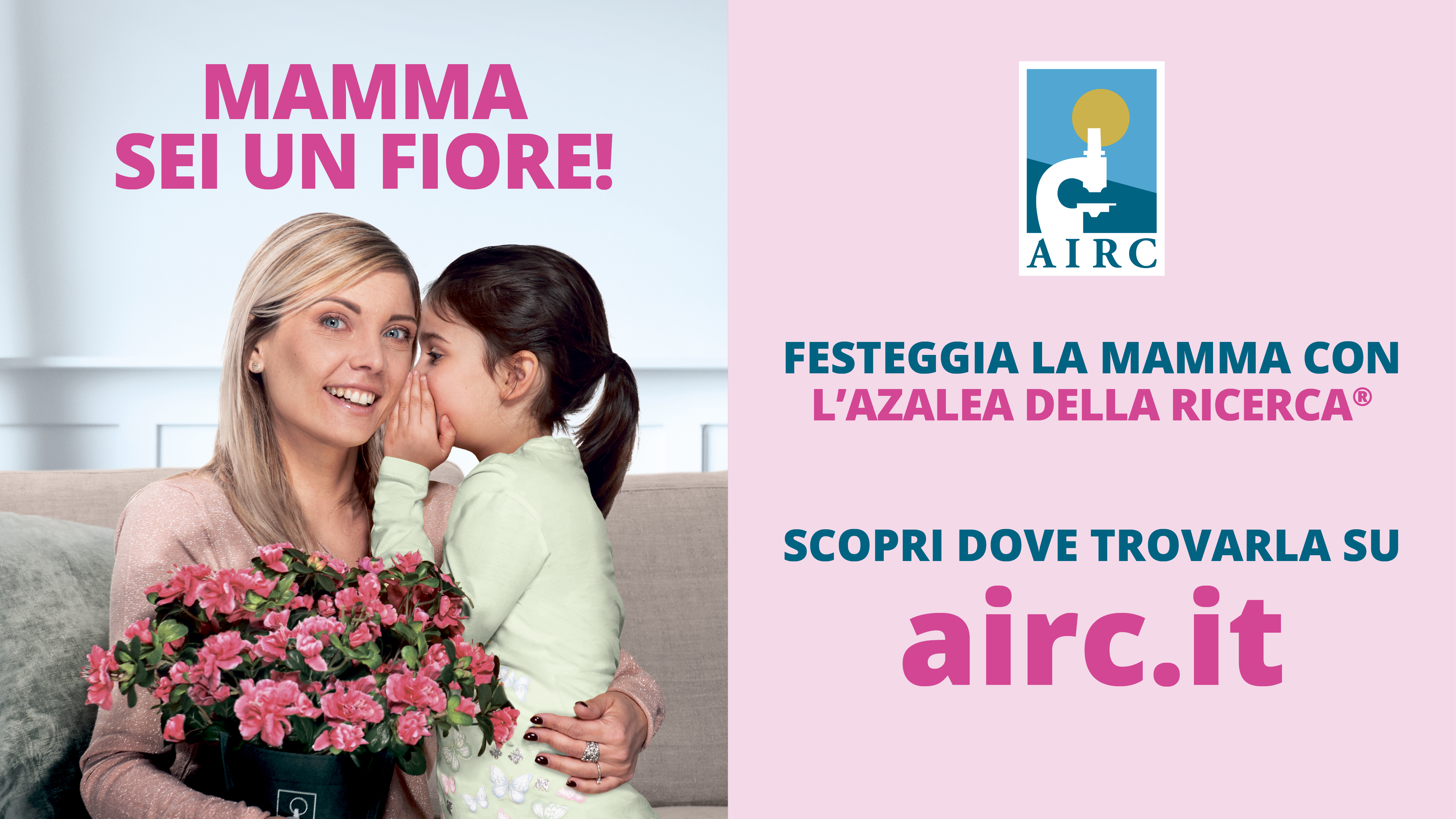 L’AZALEA DELLA RICERCA DI FONDAZIONE AIRC