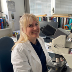 Volpi Chiara Costanza