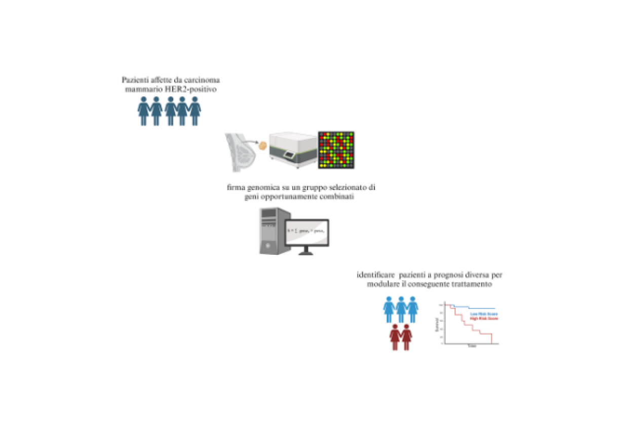 A composite assay for HER2-positive early-stage breast cancer management 