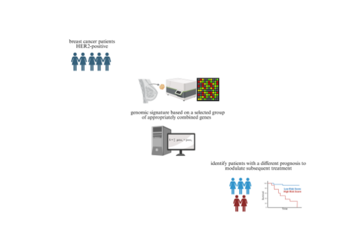 A composite assay for HER2-positive early-stage breast cancer management 