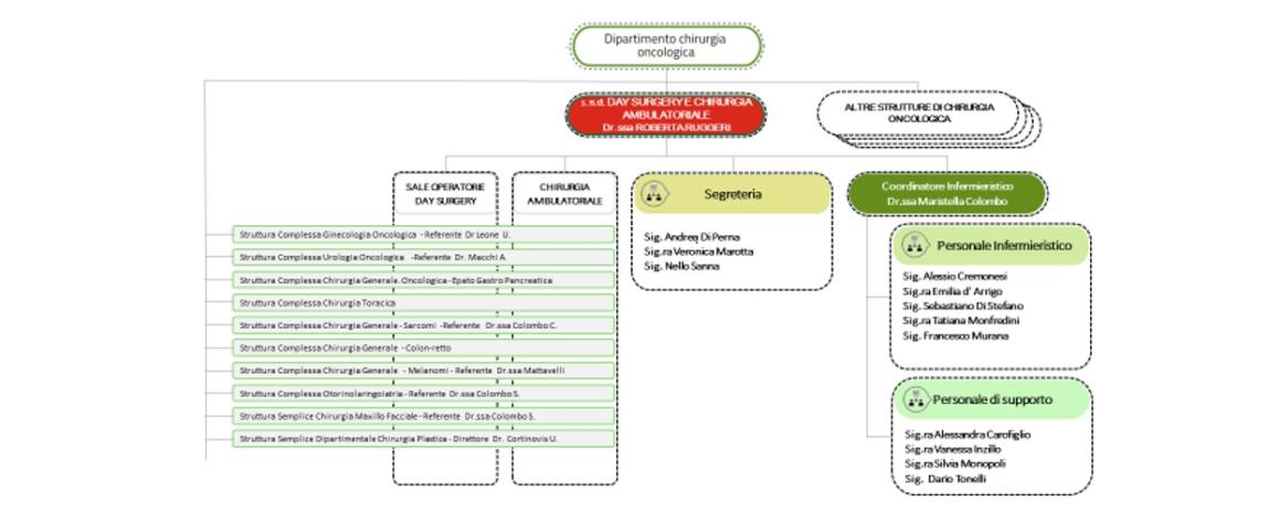 Organigramma Day Surgery Oncologico