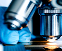 Digital Pathology